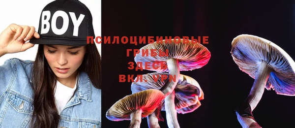 mdpv Балахна
