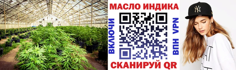 ТГК вейп  KRAKEN как войти  Петров Вал 